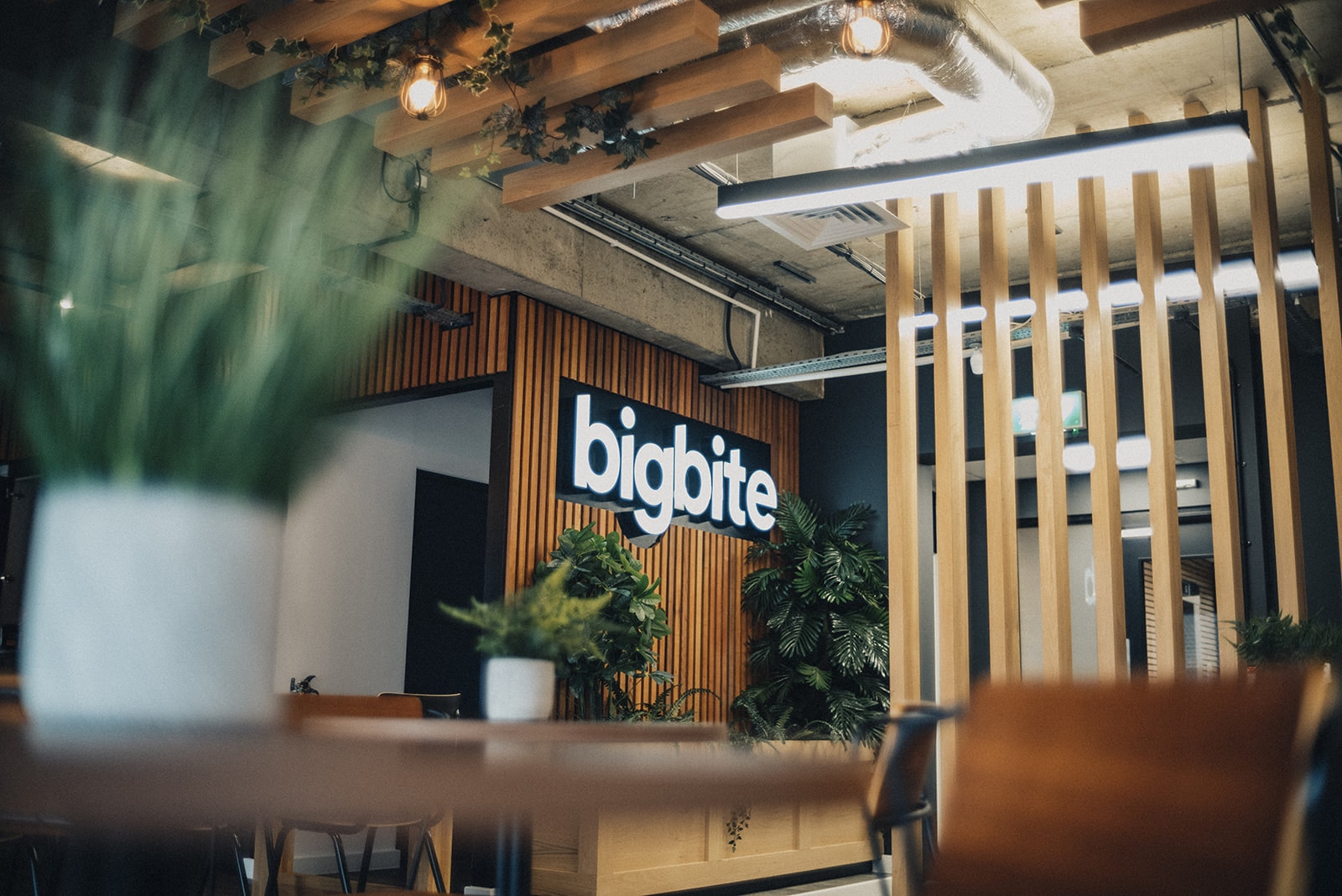 Big Bite enterprise WordPress team at work